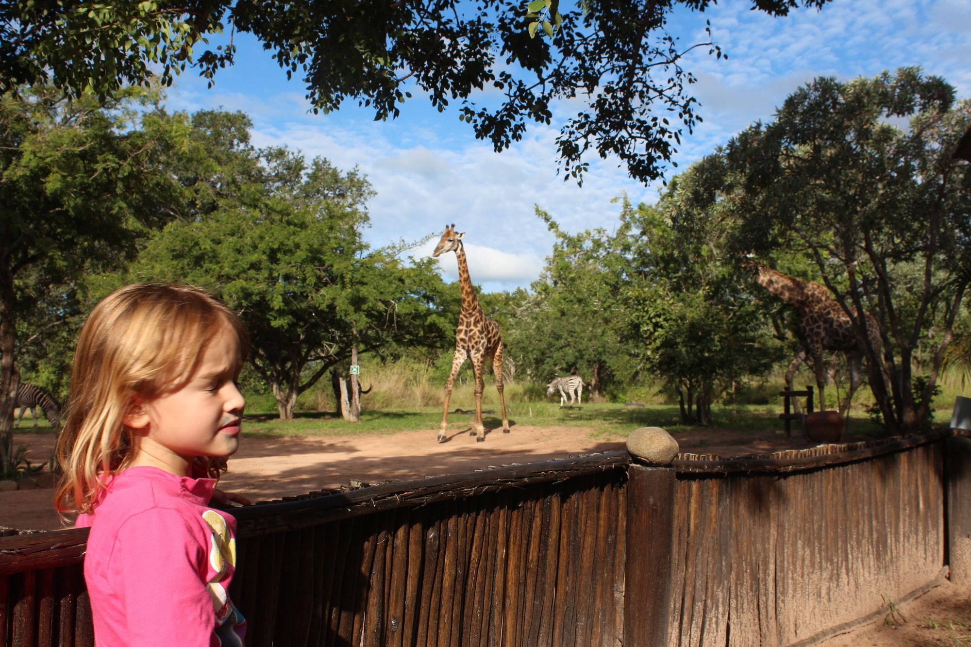 Thornhill Safari Lodge Hoedspruit Kültér fotó