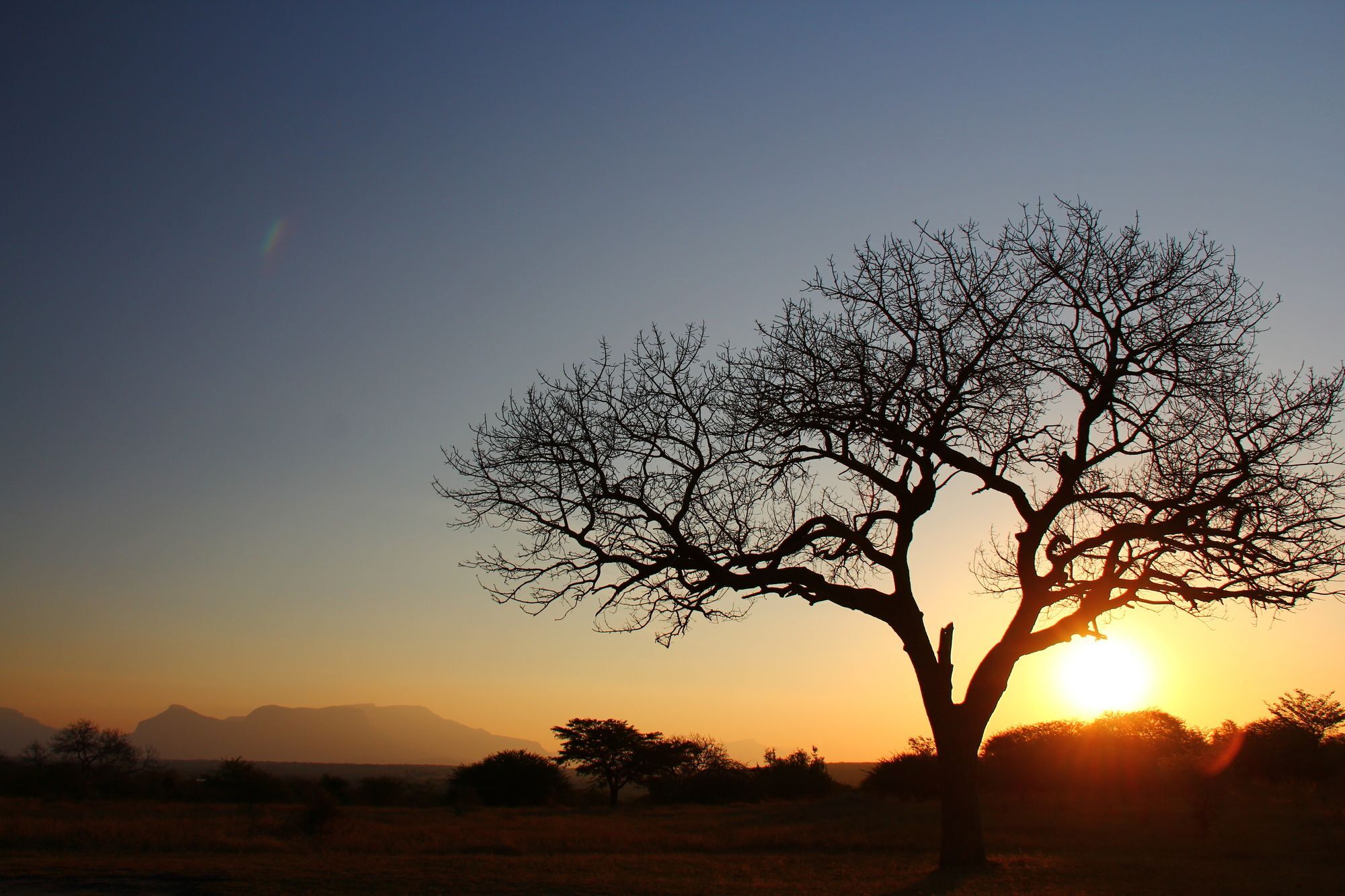 Thornhill Safari Lodge Hoedspruit Kültér fotó
