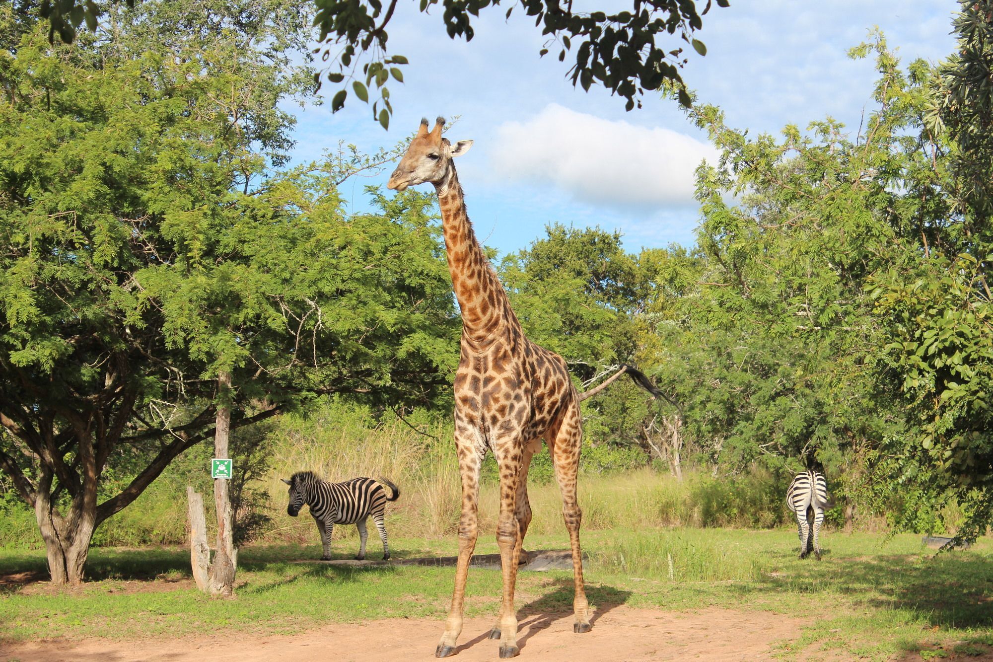 Thornhill Safari Lodge Hoedspruit Kültér fotó